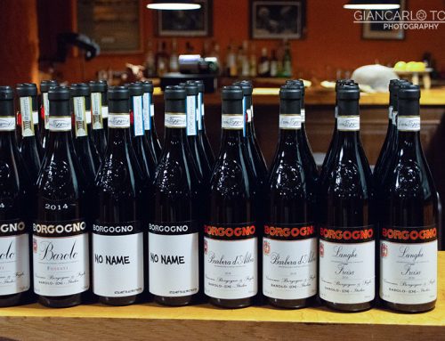 Borgogno in Vigna – 28 febbraio 2020