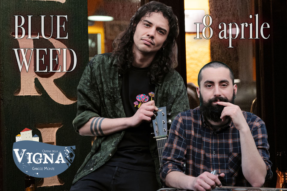Blue Weed - 18/04/2025